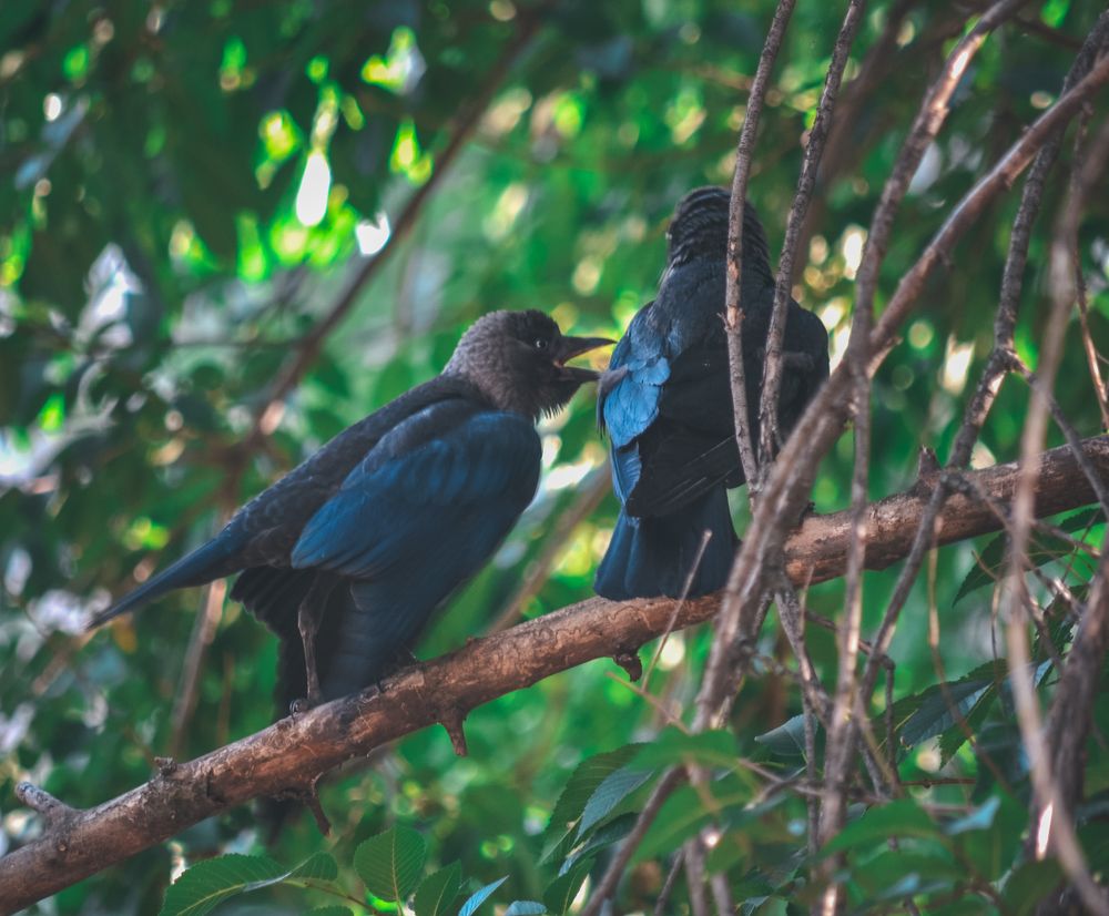 Photograph by Катерина Сорокина