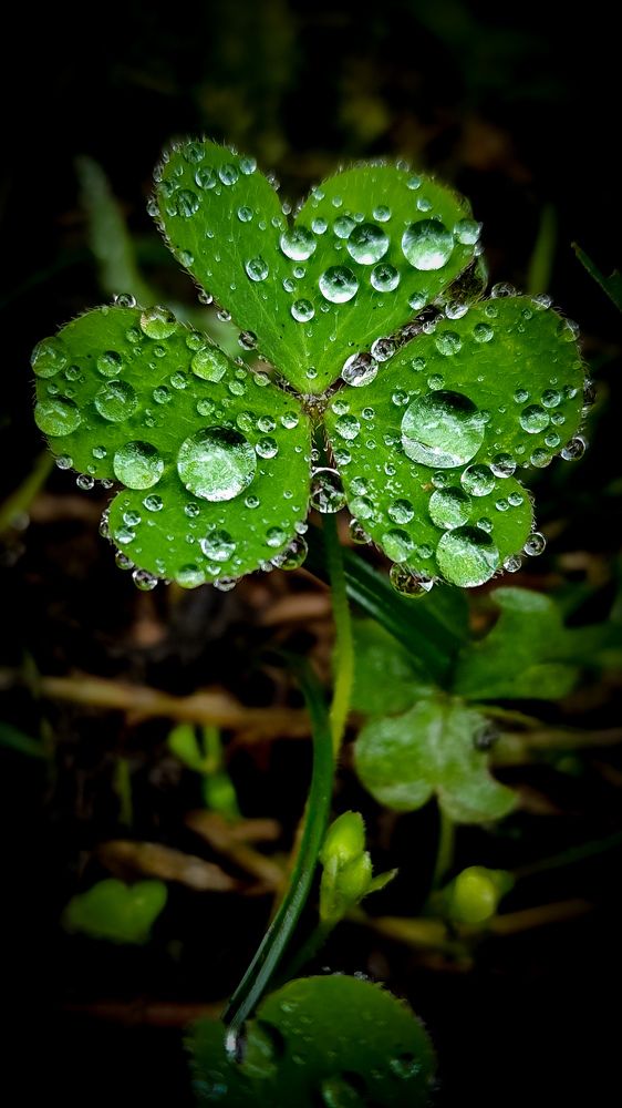 Photograph by Hasti Navaeenezhad