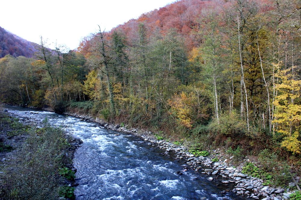 Photograph by Николай Немчанинов