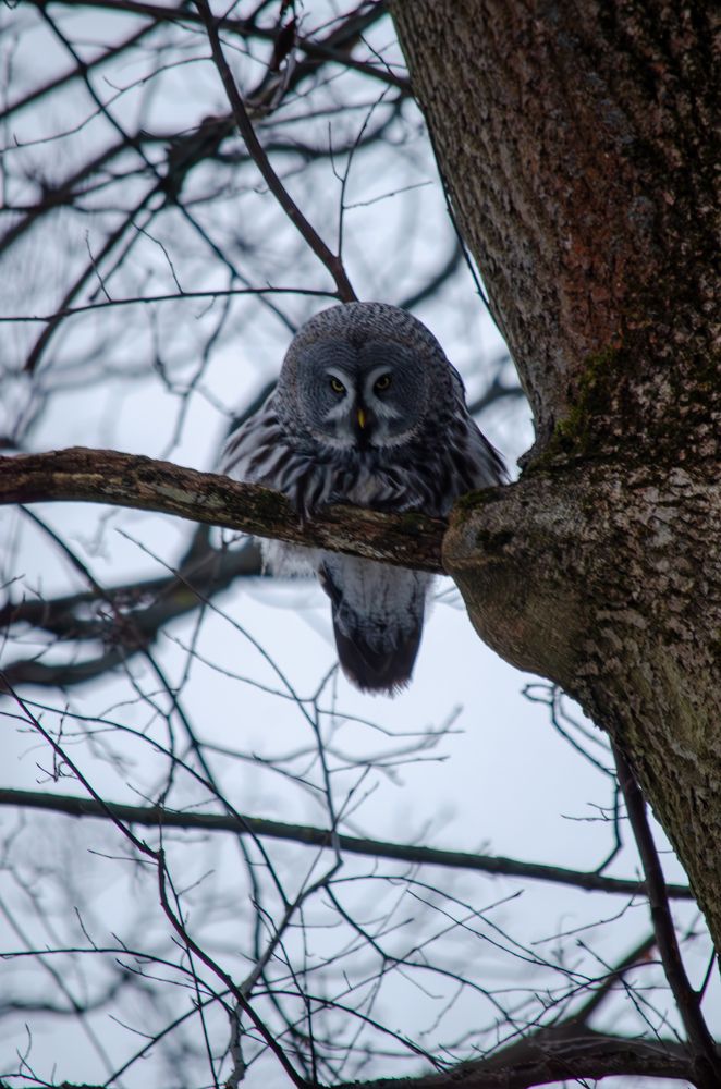 Photograph by Oksana Kuzmina