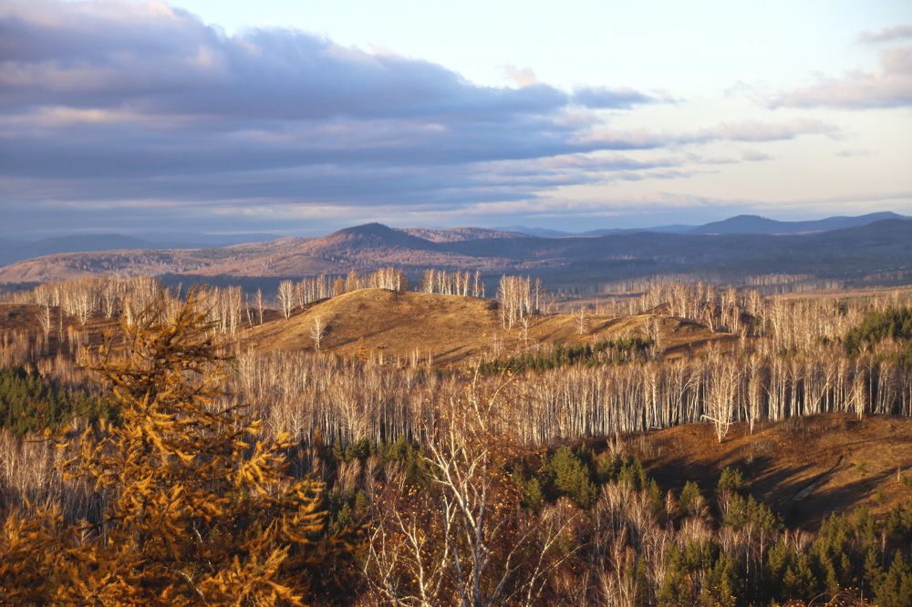 Photograph by Галина Ильясова