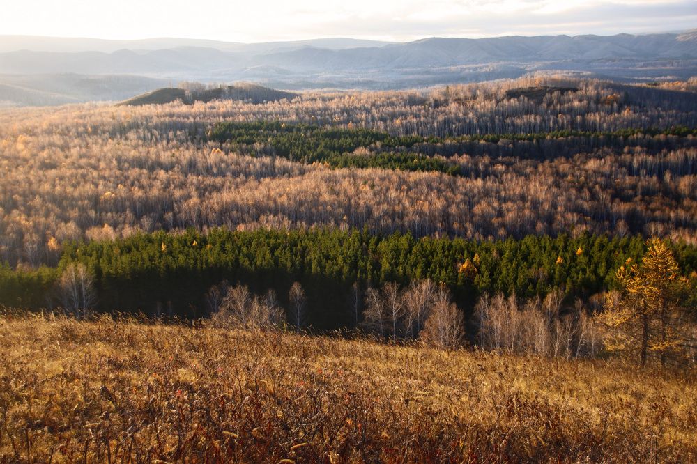 Photograph by Галина Ильясова