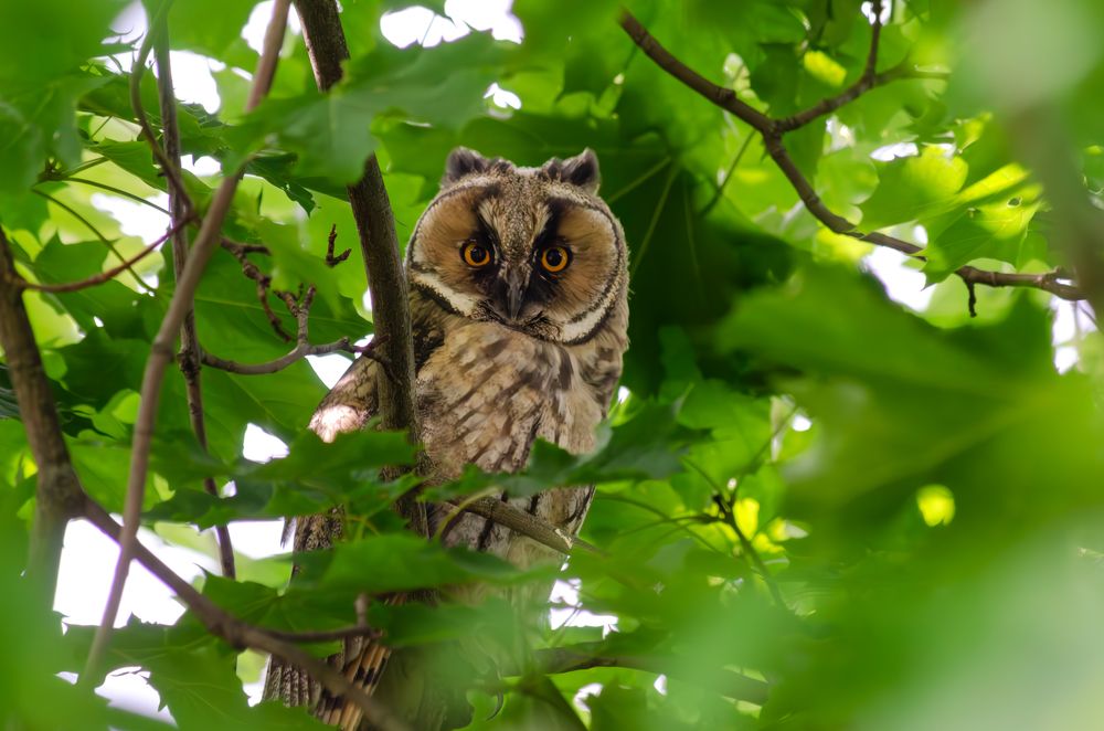 Photograph by Oksana Kuzmina