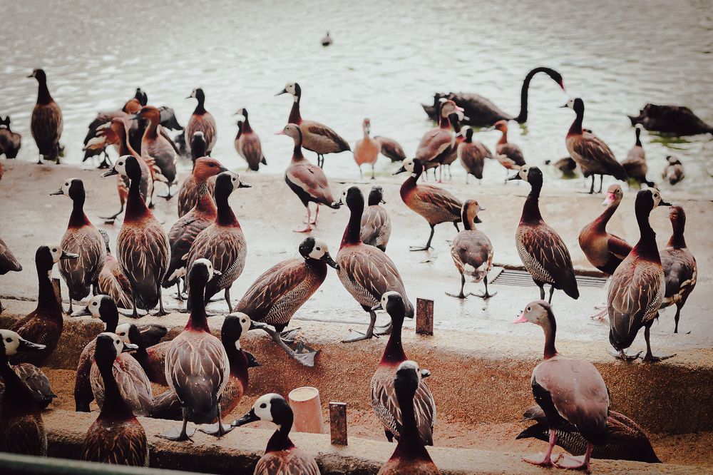 Photograph by Evandro Paula Alves