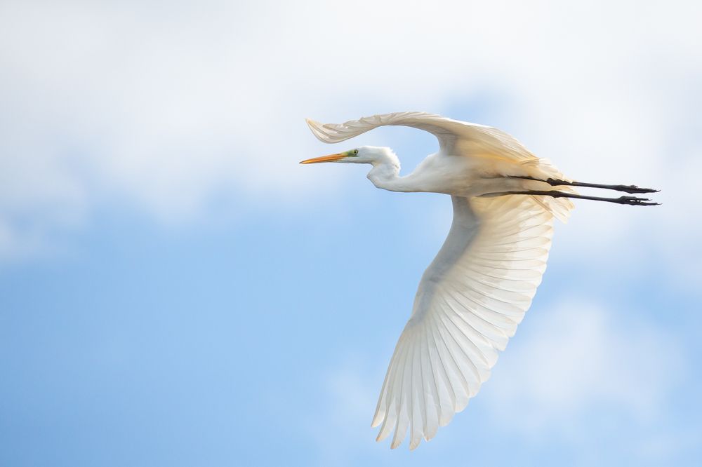 Photograph by Сергей Поляченко