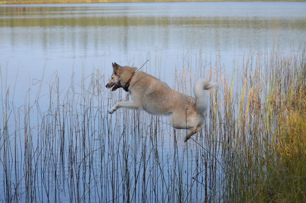 Photograph by Галина Катанова