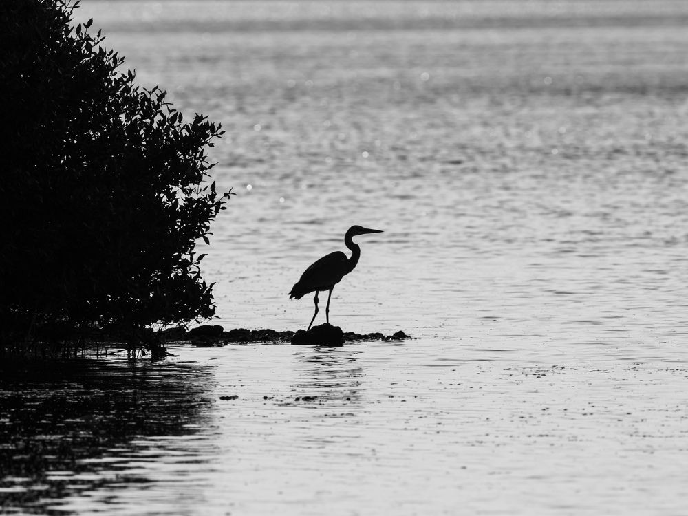 Photograph by Hervie Imus