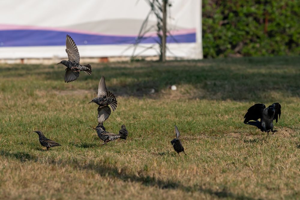 Photograph by Hervie Imus