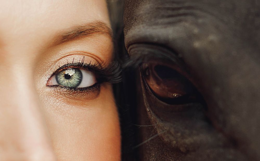 Photograph by Бибина Виктория