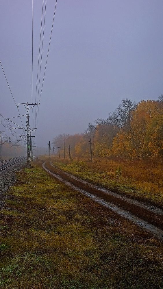 Photograph by Анна Кудинкина