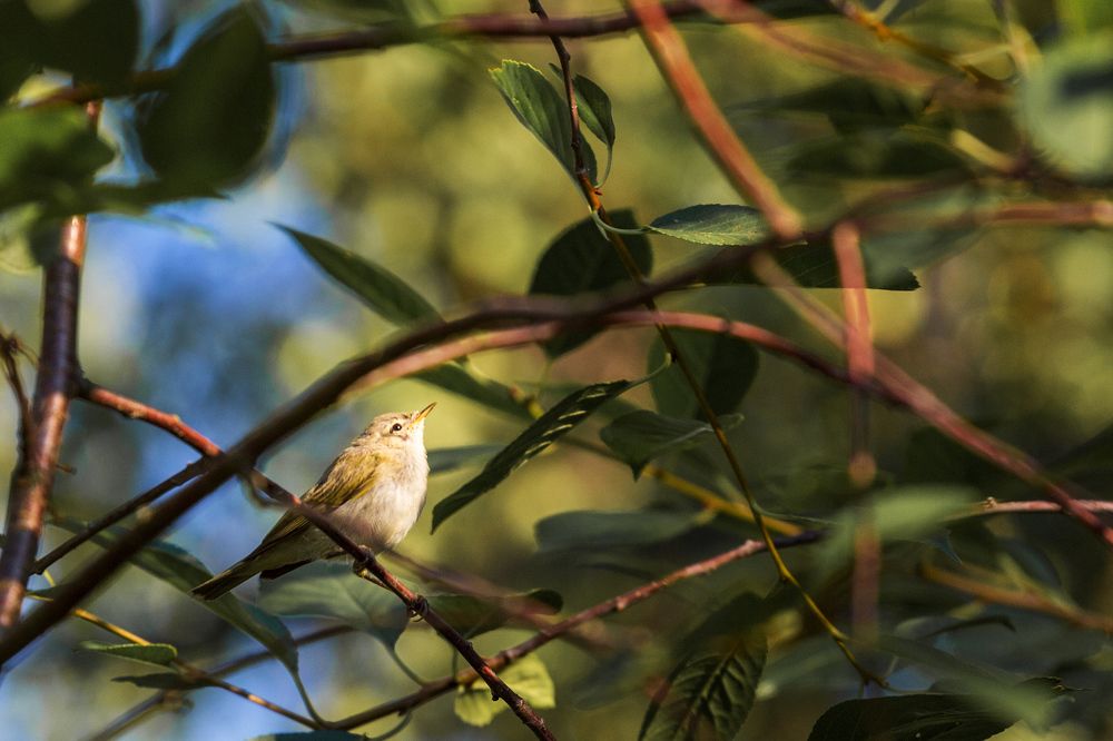 Photograph by Людмила Манохина