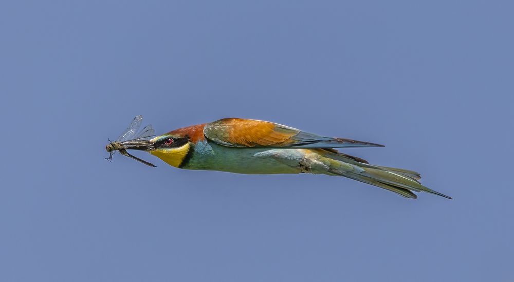 Photograph by АЛЕКСАНДР ПОПИК