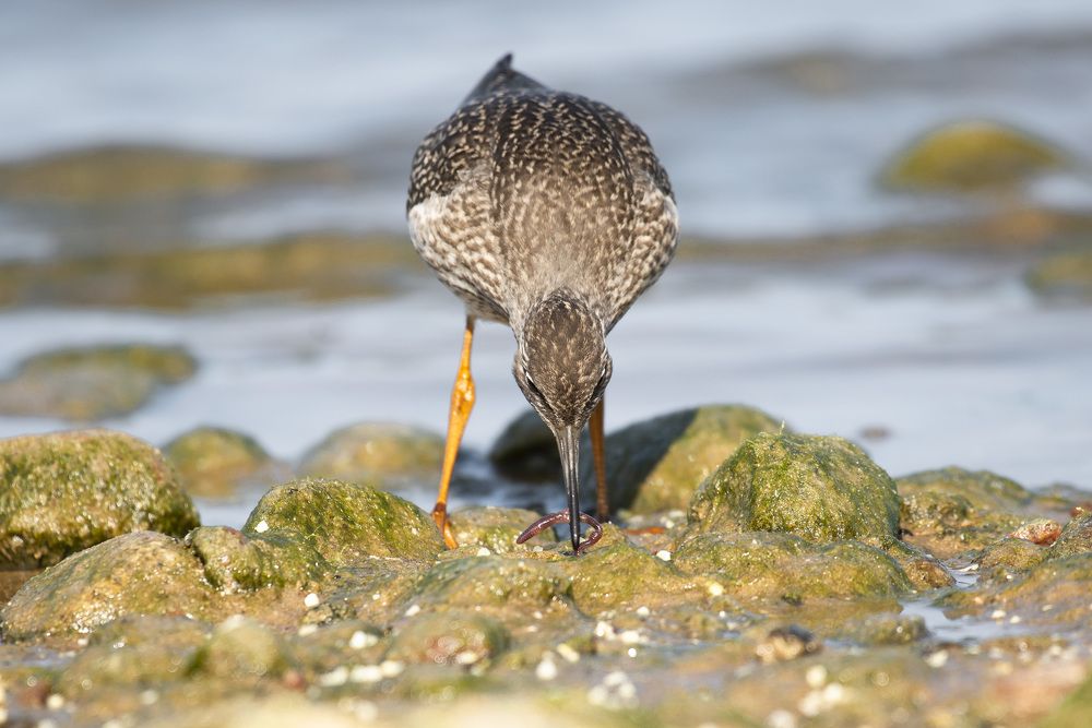 Photograph by Мария Долбич