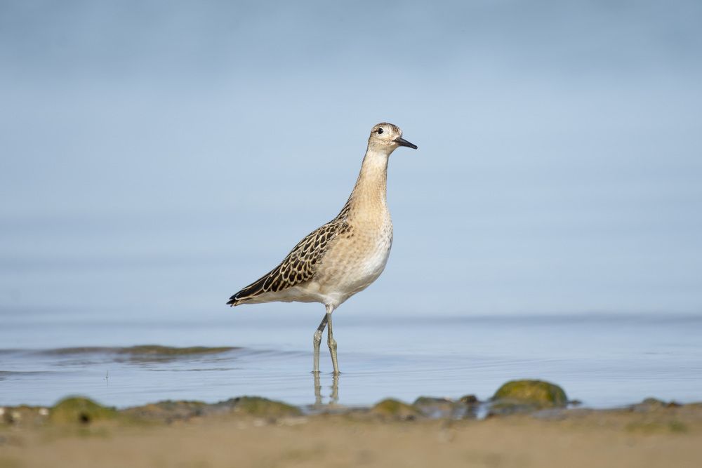 Photograph by Мария Долбич