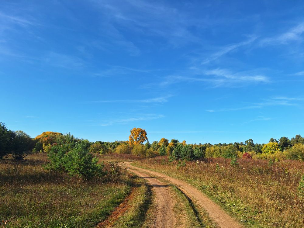 Фотография автора Дмитрий Андреевич