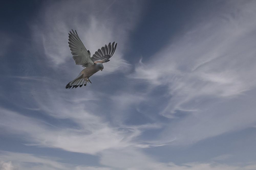 Photograph by Владислав Айзенберг