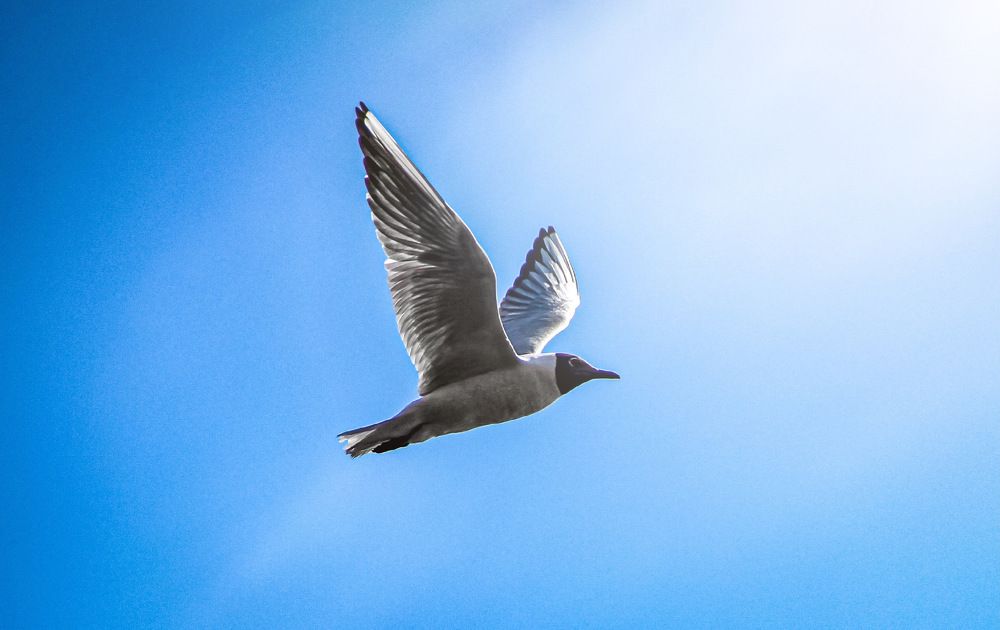 Фотография автора Евгений Кузнецов