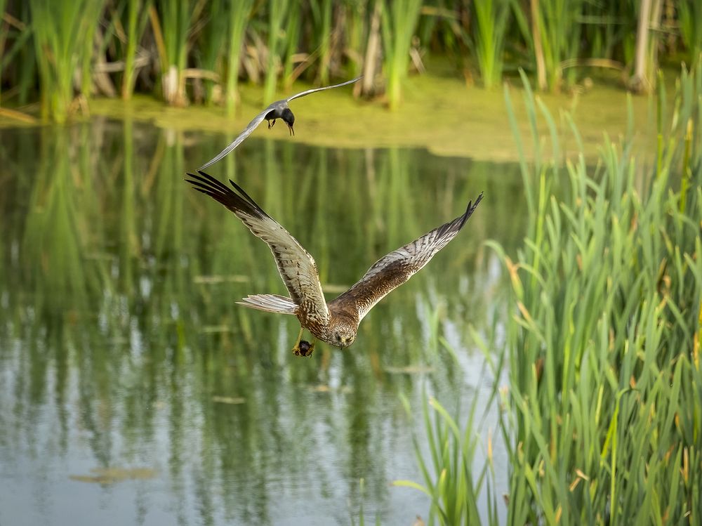 Photograph by АЛЕКСАНДР ПОПИК