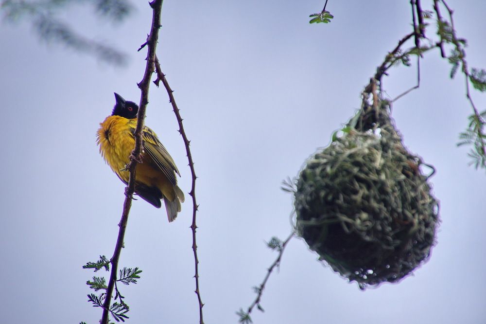 Photograph by Юрий Сычев