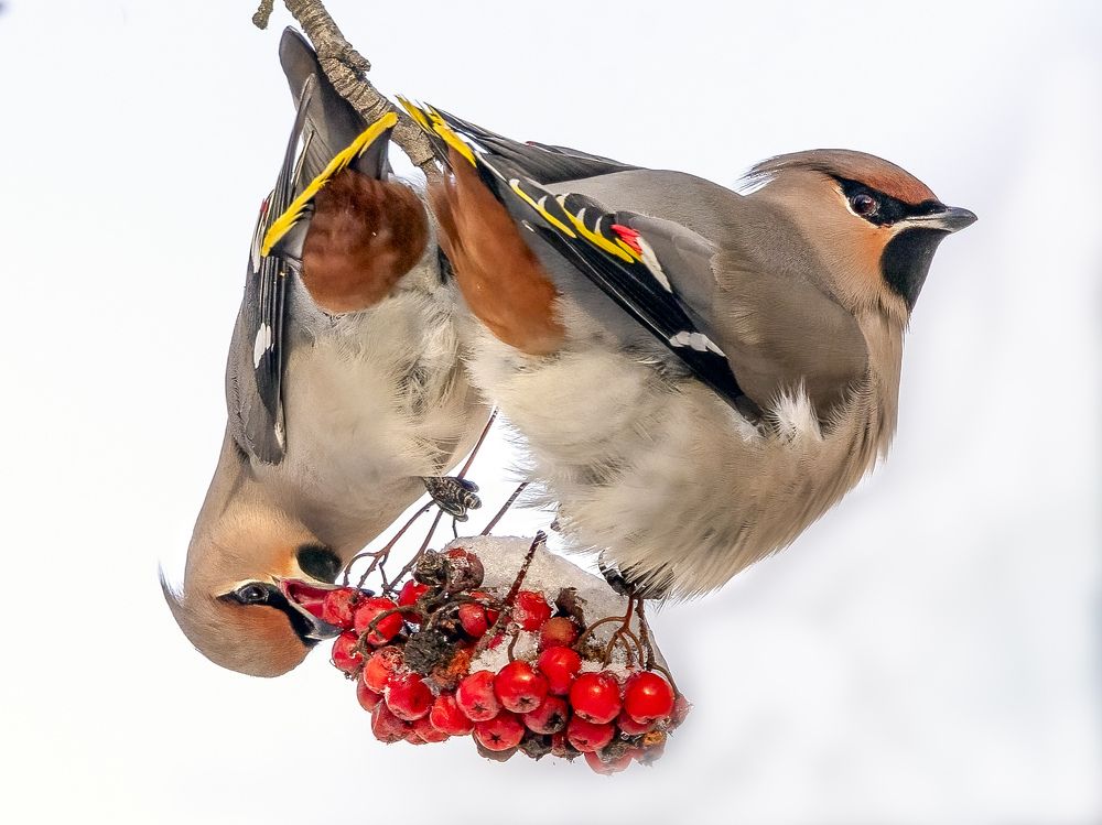 Photograph by АЛЕКСАНДР ПОПИК