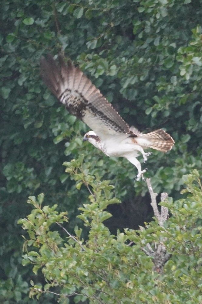 Photograph by Алфия Бугакова