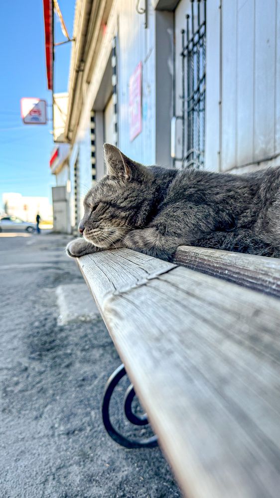 Фотография автора Евгений Кузнецов