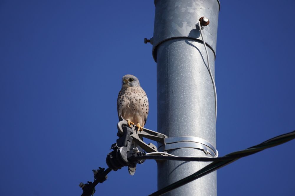 Photograph by Алфия Бугакова