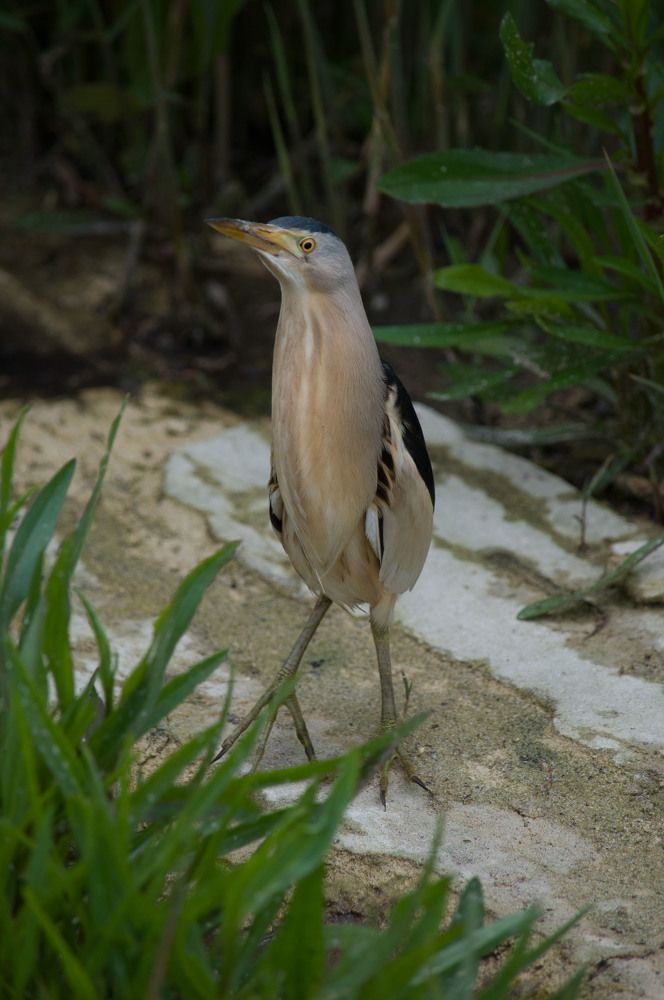 Фотография автора Артем Андрющенко
