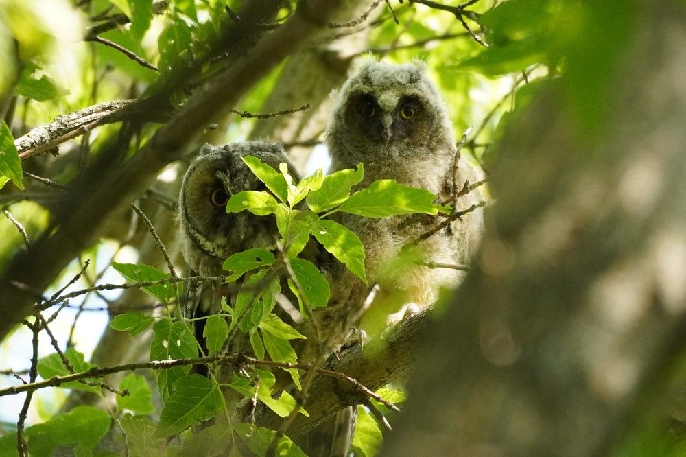 Photograph by Алфия Бугакова