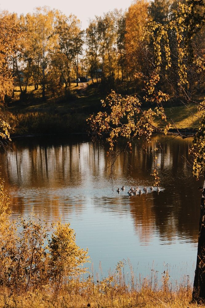 Photograph by Anastasia Anikina