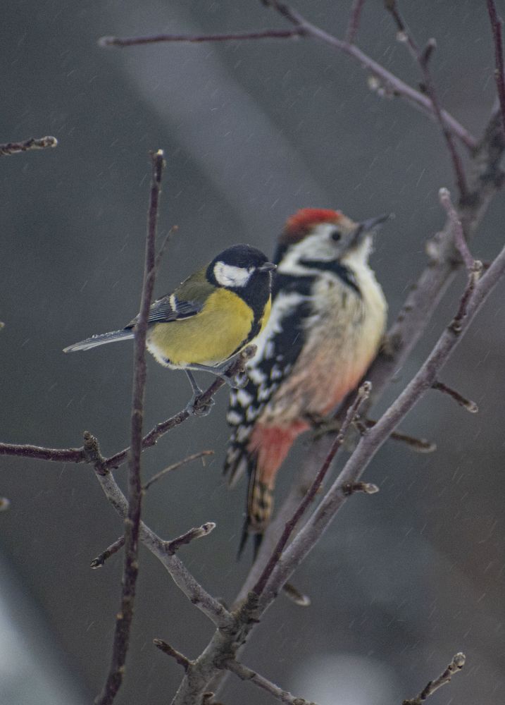 Photograph by Галина Завязкина