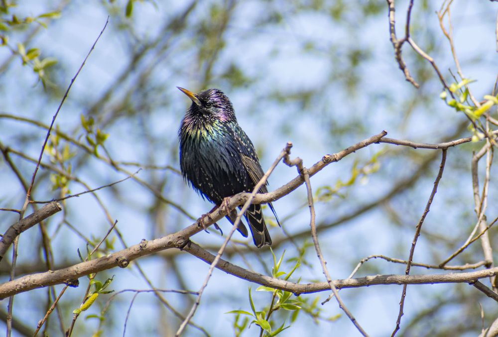 Photograph by Галина Завязкина