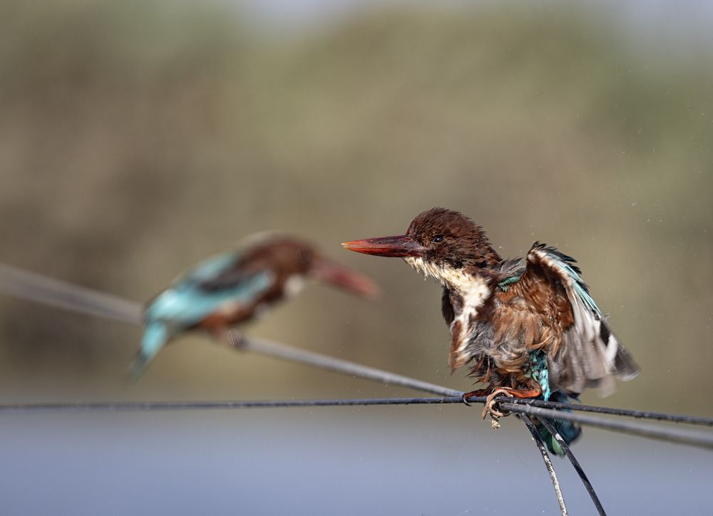 Photograph by pavel chtein