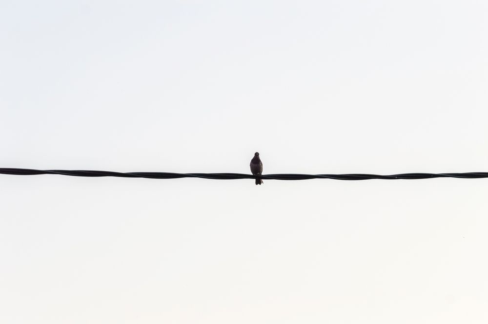 Photograph by Nadezhda