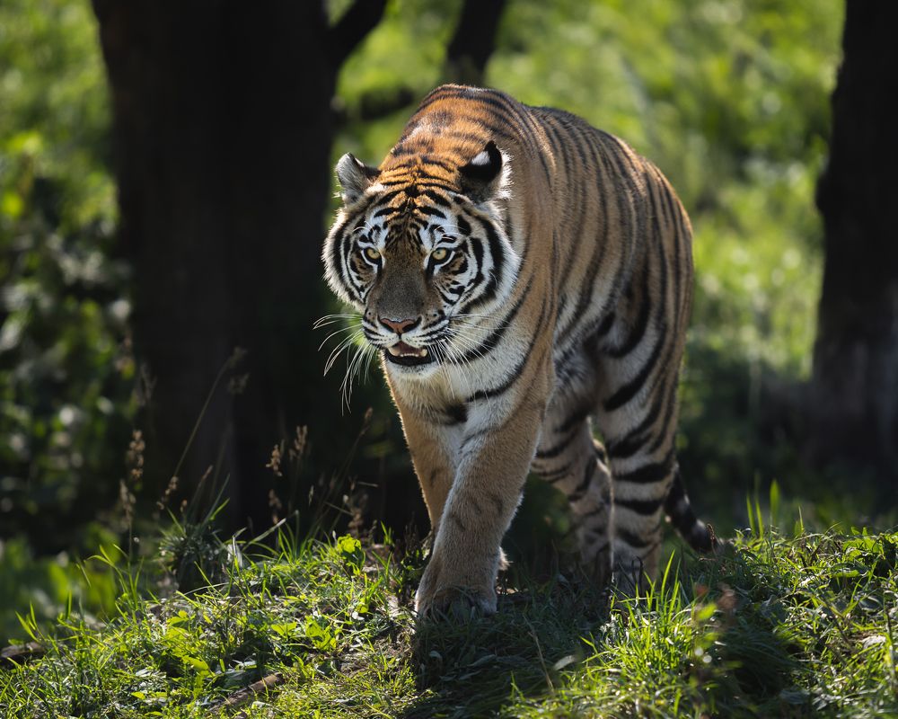 Photograph by Данил Шауба