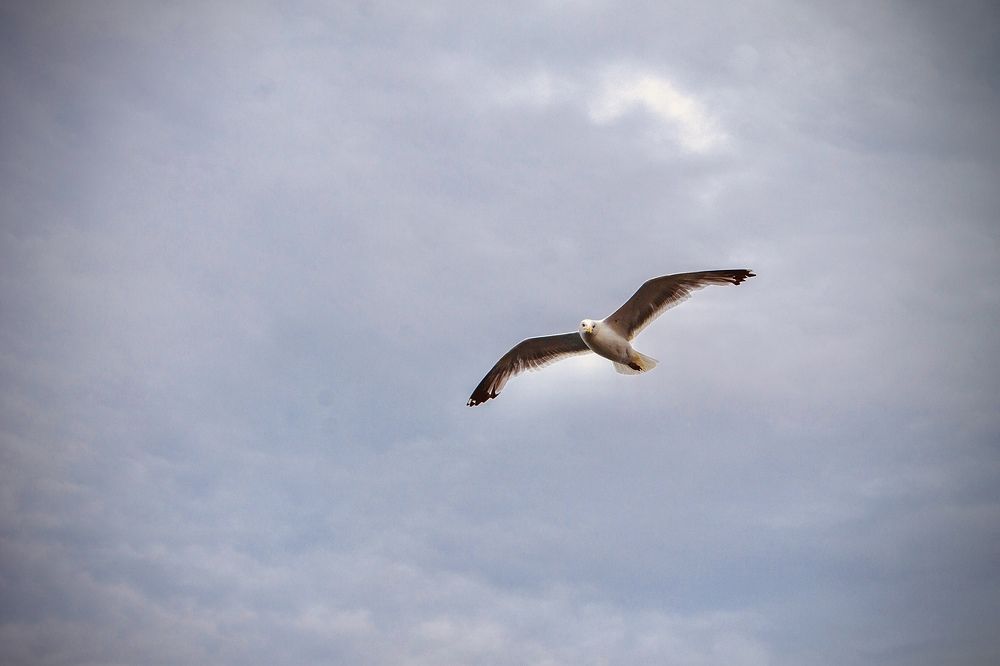 Photograph by Илья Юриков