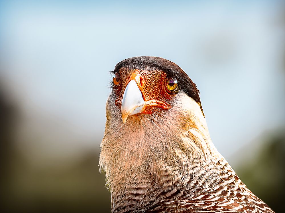 Photograph by Mauro Regalado Soares