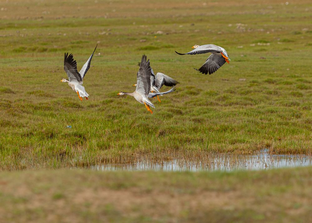 Photograph by Денис Дорошенко