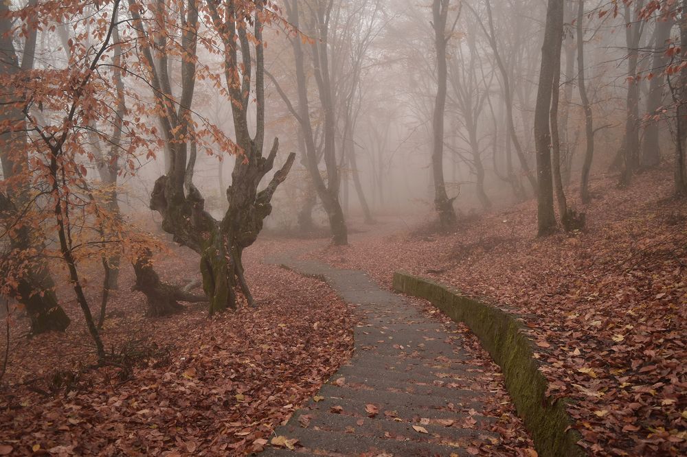 Фотография автора Шипунова Ирина