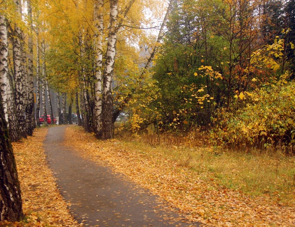 Photograph by Наталья Соколова