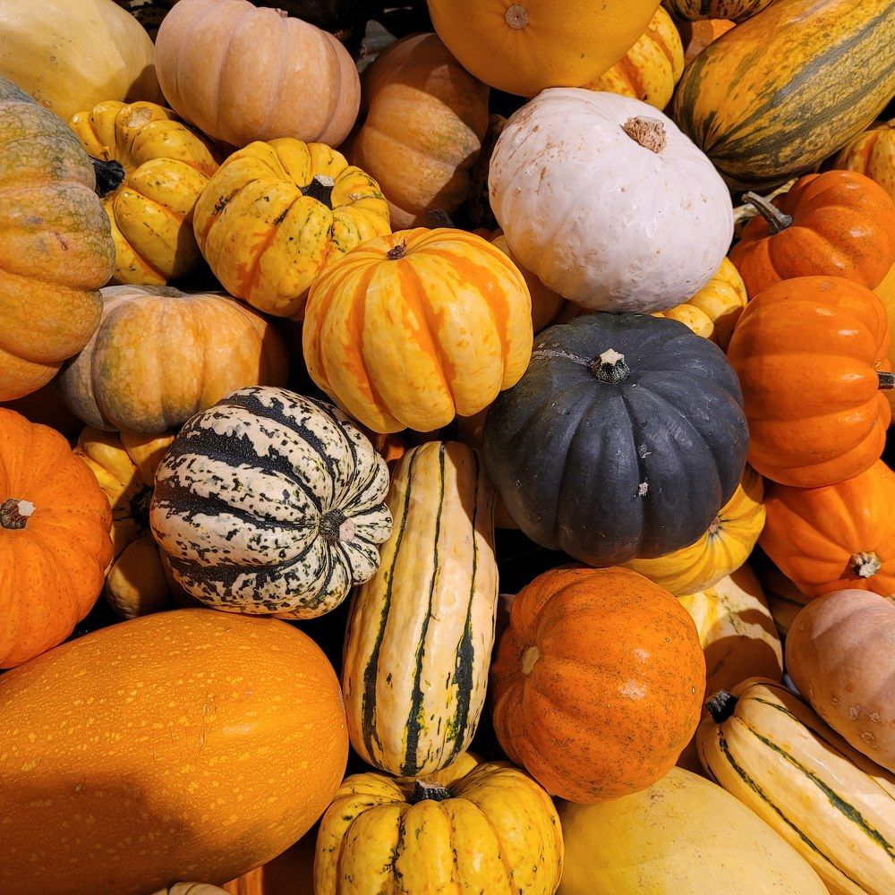 Photograph by Catherine Walter-Prêtre