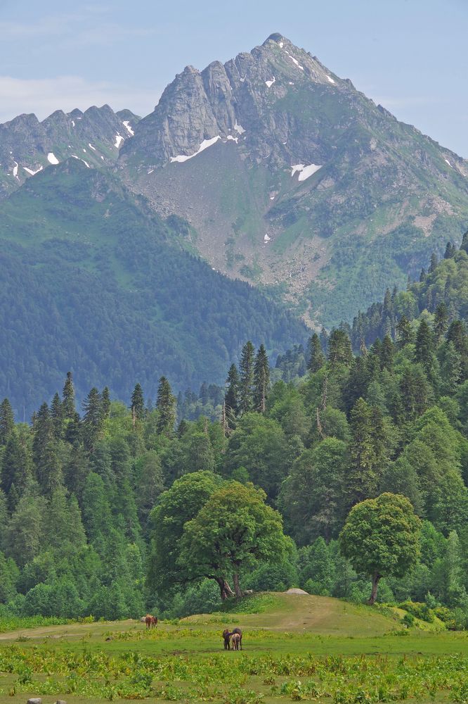 Photograph by Елена Щитова