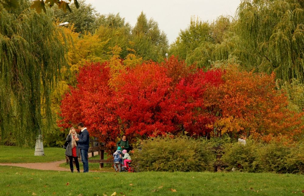 Photograph by Наталья Соколова