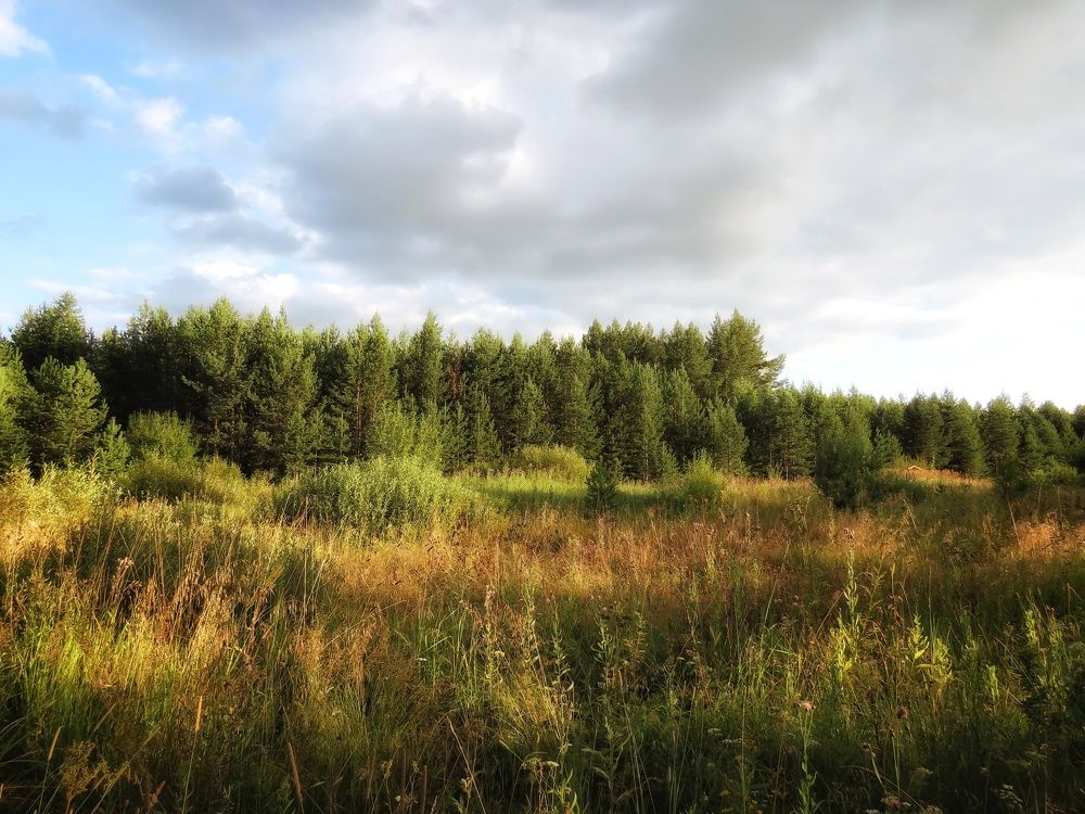 Фотография автора Екатерина Солохина