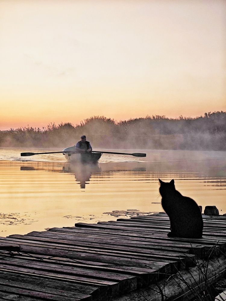 Photograph by Олеся Зеленщикова