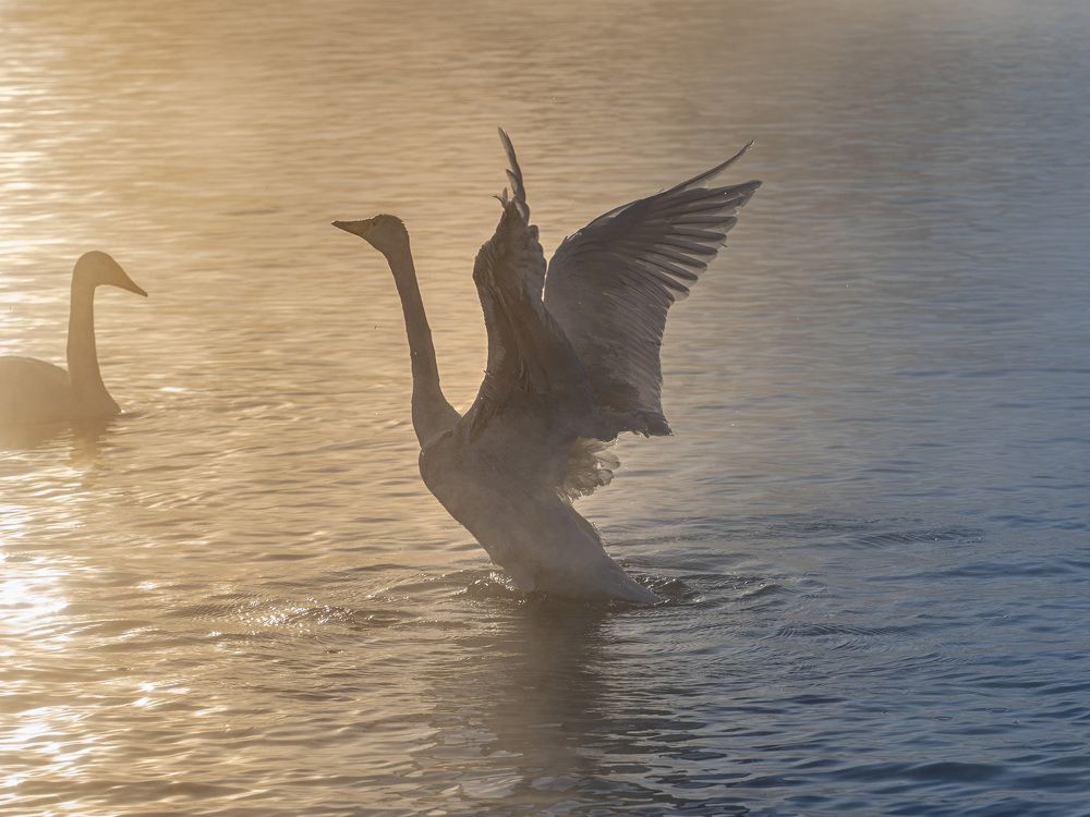 Photograph by Михаил