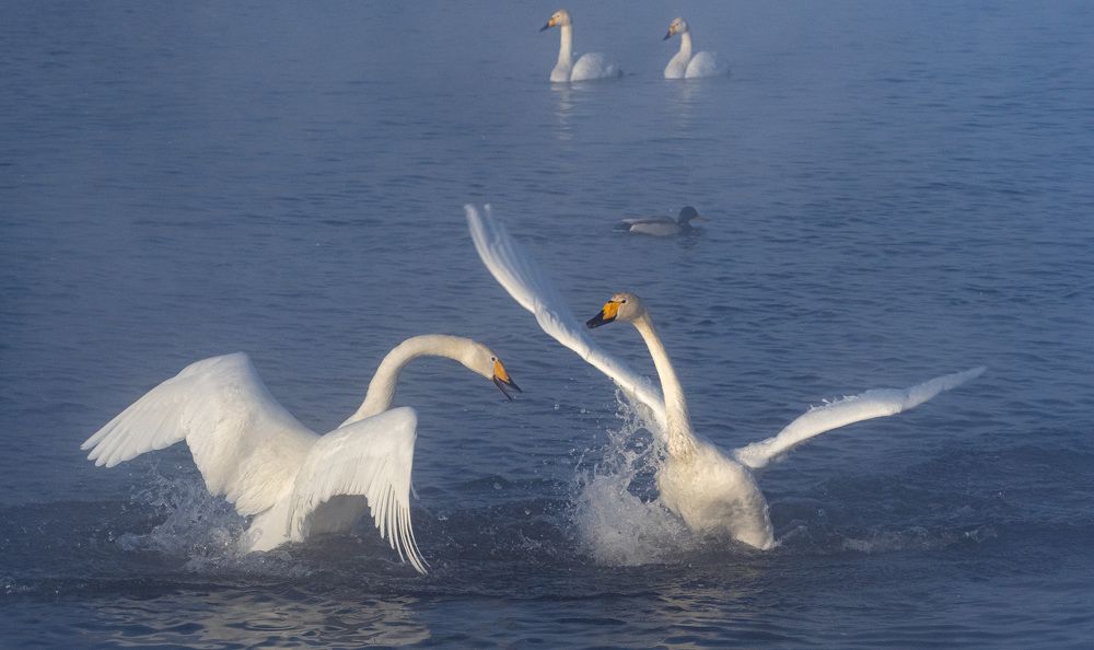 Photograph by Михаил