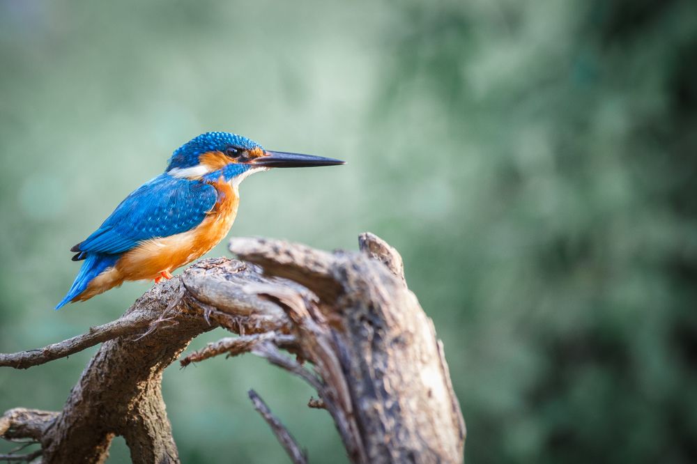 Photograph by Vasily Prokhorov