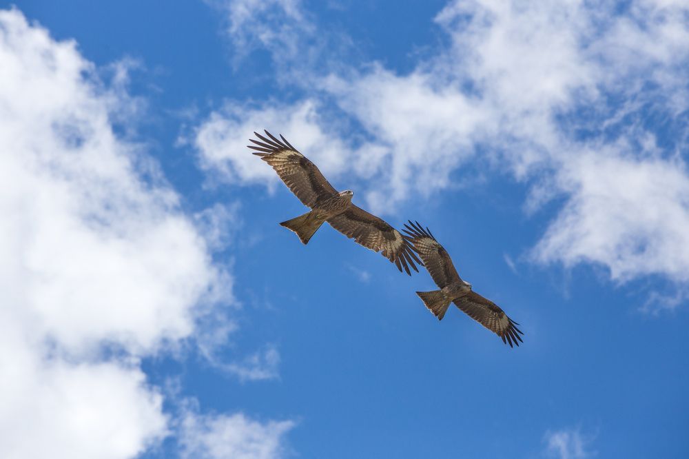 Photograph by Михаил