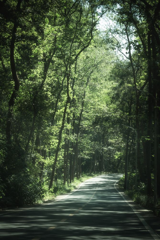 Photograph by 李长丰